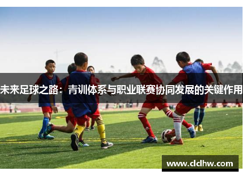未来足球之路：青训体系与职业联赛协同发展的关键作用