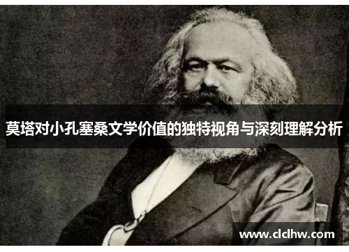 莫塔对小孔塞桑文学价值的独特视角与深刻理解分析