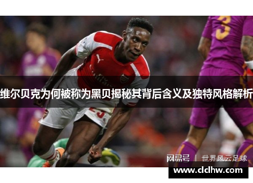 维尔贝克为何被称为黑贝揭秘其背后含义及独特风格解析